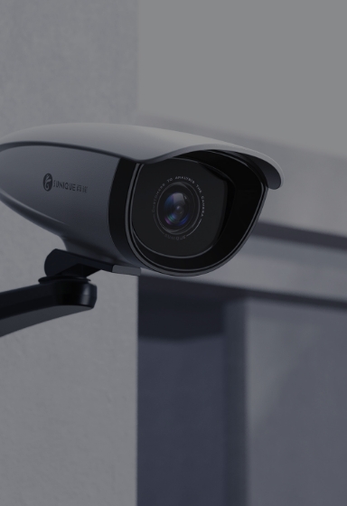 Security industry
